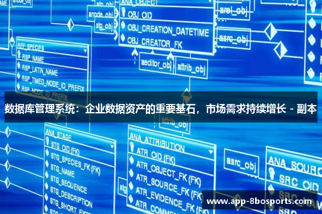 数据库管理系统：企业数据资产的重要基石，市场需求持续增长 - 副本